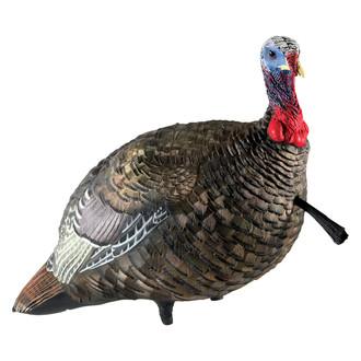 Avian-X® - LCD Jake™ Quarter-Strut Turkey Decoy