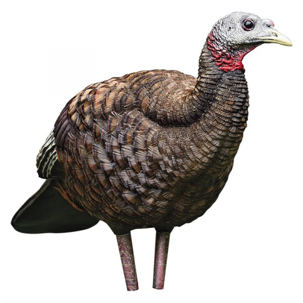 Avian-X® - LCD Hen™ Breeder Turkey Decoy