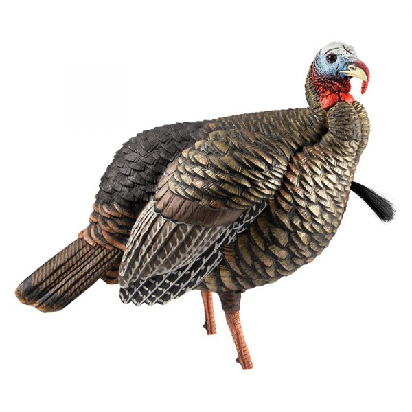 Avian-X® - HDR Jake™ Quarter-Strut Turkey Decoy