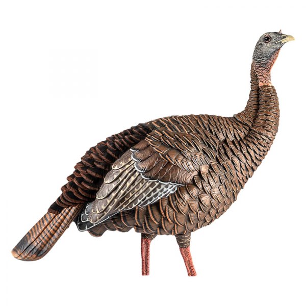 Avian-X® - HDR Hen™ Breeder/Lookout Turkey Decoy