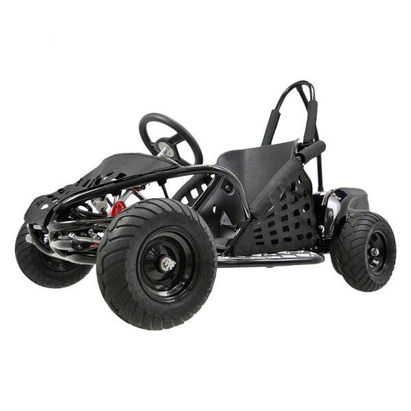Big Toys® - MotoTec™ 48 V 1000 W Black Off Road Electric Go Kart (13+ Years)