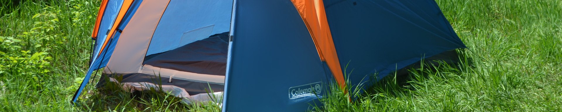 Coleman Electronics Bags & Cases