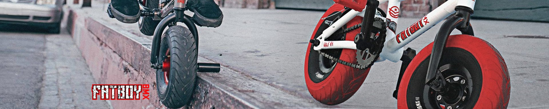 Fatboy Mini BMX Bike Tires, Tubes & Wheels