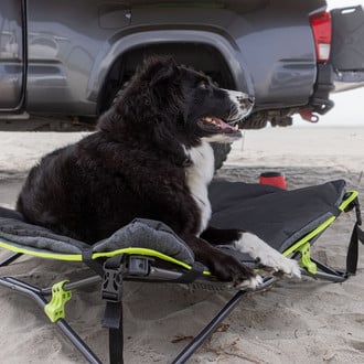 Ironman 4x4® - Quick Fold Dog Bed with Padded Mat