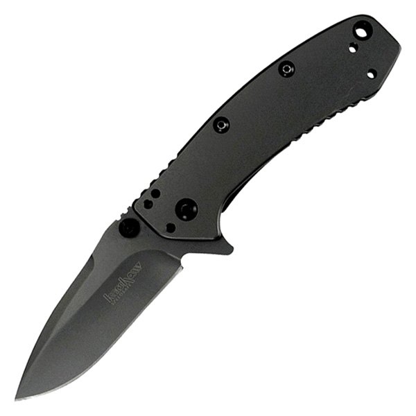 Kershaw® - Cryo 2.75" Gray Drop Point Folding Knife