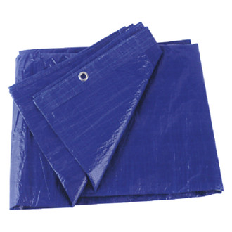 Kotap America® - 30' x 30' Blue Poly Tarp
