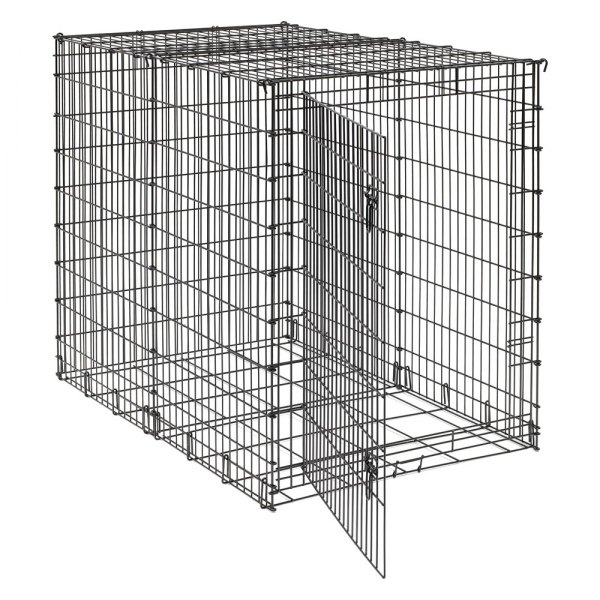 big dog crates