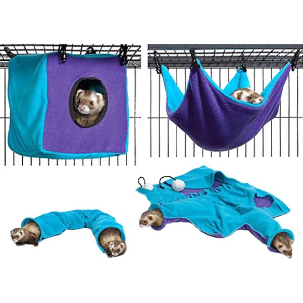Midwest Pet® - Ferret Nation™ Teal/Purple Accessory Kit #3