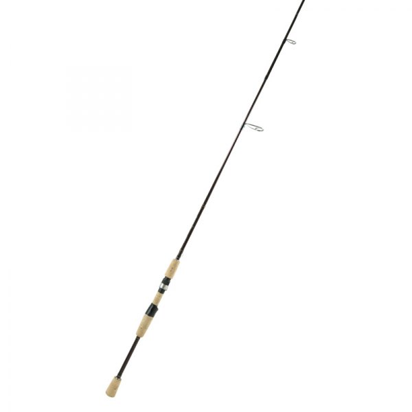 heavy spinning rod