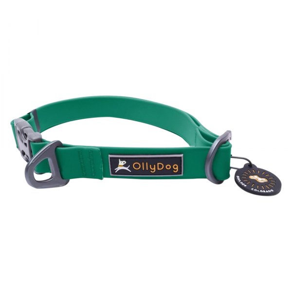 Olly Dog® - Tilden 8.5" to 13" x 0.75 Teal Waterproof Dog Collar
