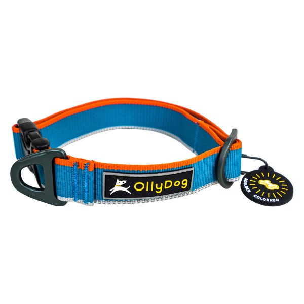 Olly Dog® - Urban Trail 10" to 14" Air Blue Polyester Reflective Everyday Dog Collar