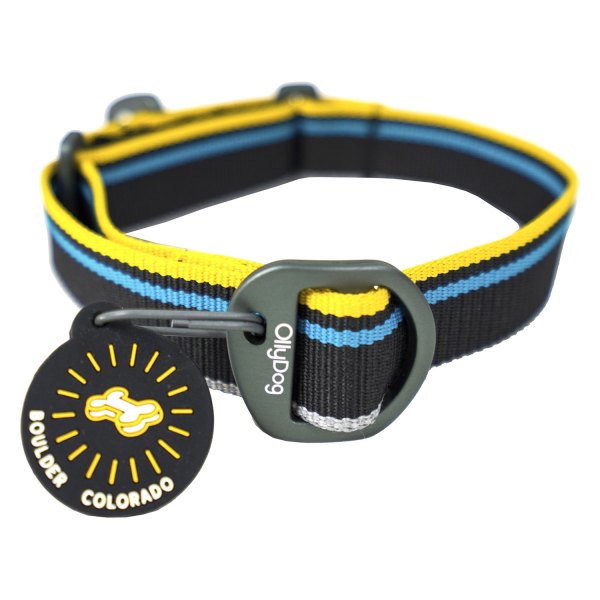 Olly Dog® - Martingale Mesa 9" to 12" Anthracite Polyester Reflective Everyday Dog Collar