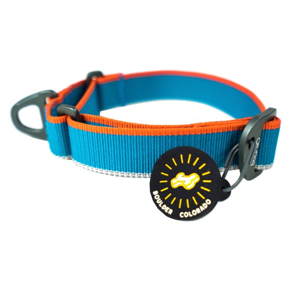 Olly Dog® - Martingale Mesa 9" to 12" Air Blue Polyester Reflective Everyday Dog Collar