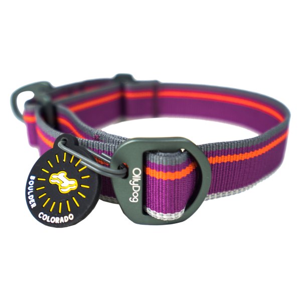 Olly Dog® - Martingale Mesa 9" to 12" Wild Aster Polyester Reflective Everyday Dog Collar