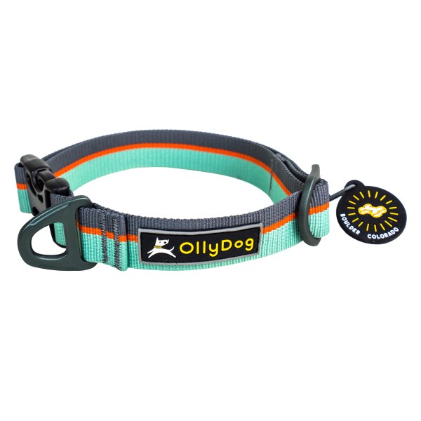 Olly Dog® - Flagstaff 10" to 14" Surf Polyester Everyday Dog Collar