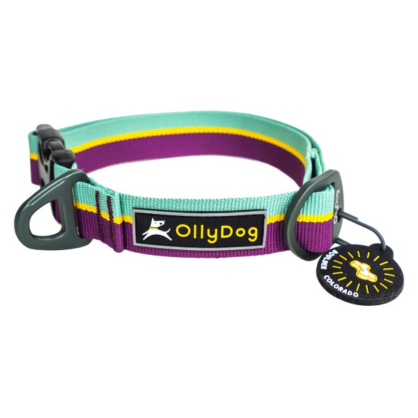 Olly Dog® - Flagstaff 10" to 14" Magenta Polyester Everyday Dog Collar