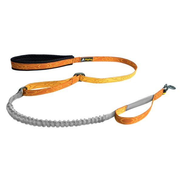 Olly Dog® - Flagstaff 46" to 60" Blaze Bark Polyester Training Snap Dog Leash with Elastic Bungee