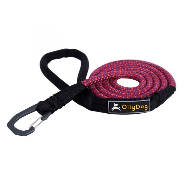 Olly Dog® - Mountain 60" Wild Aster Kernmantle Rope Carabin Dog Leash