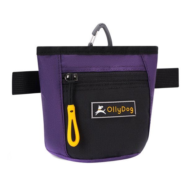 OllyDog® - Iris Goodie Treat Bag (4" x 4.75" x 2.5")
