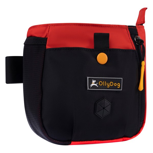 OllyDog® - 6.5" x 6.5" x 3.5" Fiesta Backcountry Day Bag