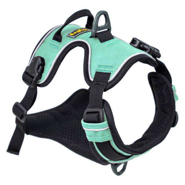 dual clip dog harness