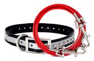 Collars & Leashes