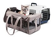 Pet Carriers & Strollers