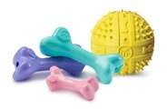 Pet Toys