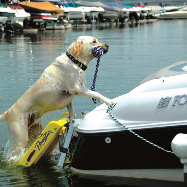 dog boat ladder