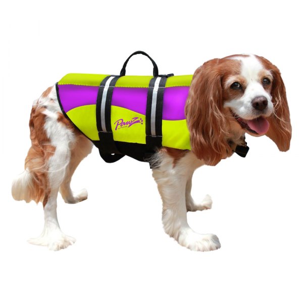 small dog life jacket