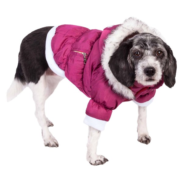 dog parka with hood