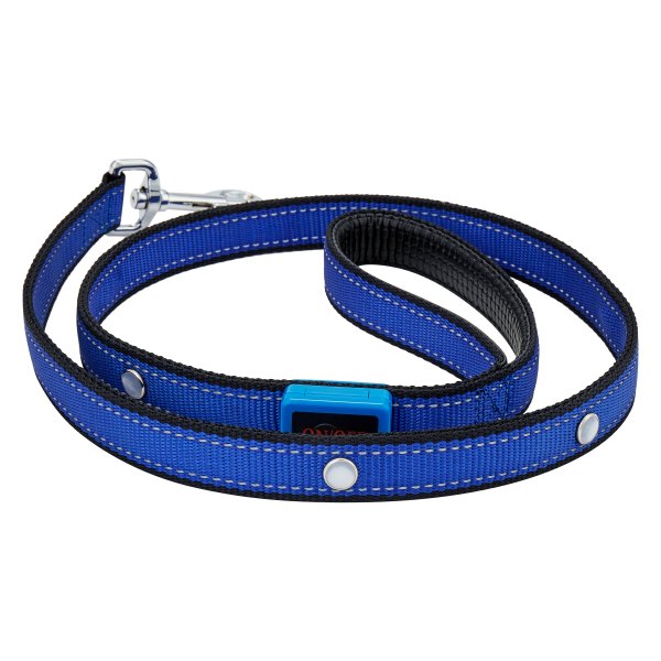  Rixxu™ - High Quality Jewel Flashing Blue Pet Leash